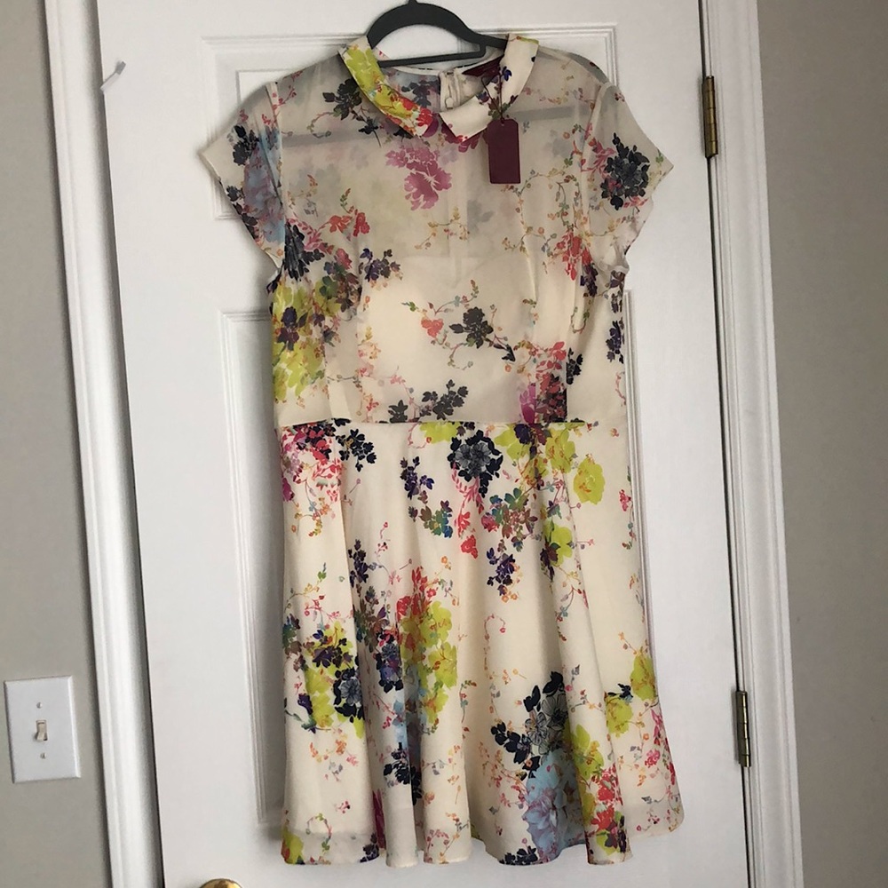 Ted Baker London Off White Floral Gracel Dress NWT